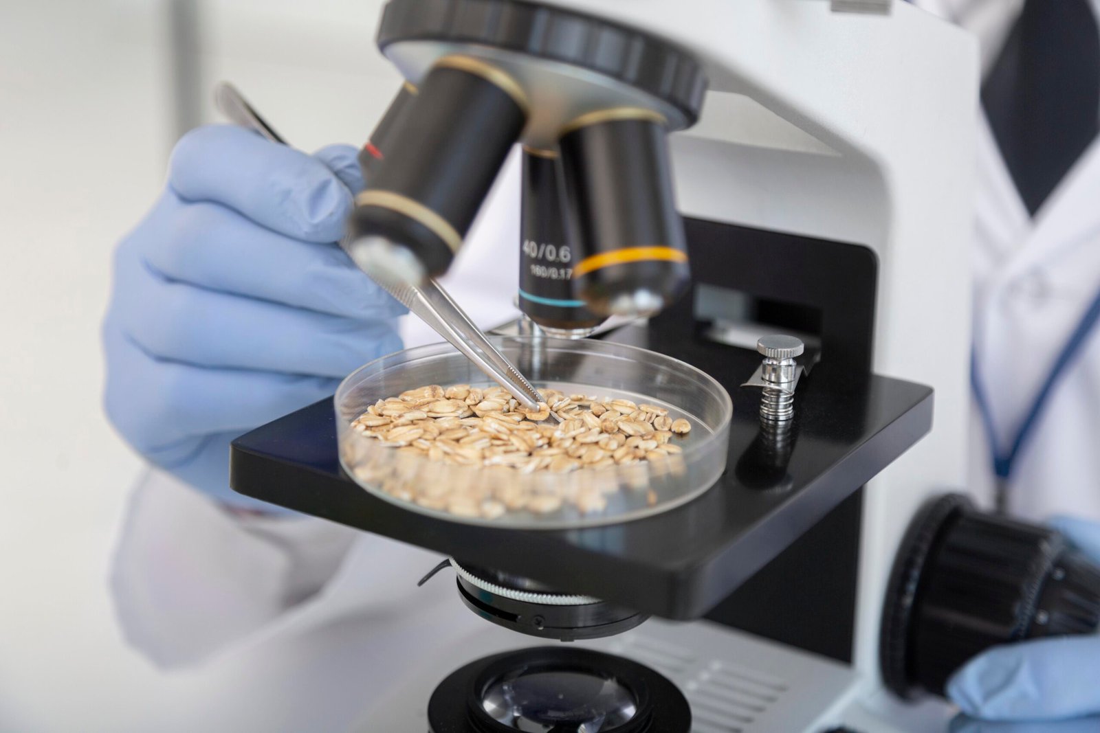 Cerrar Cientifico Que Trabaja Con Placa De Petri Cerrar Cientifico Que Trabaja Con Placa De Petri